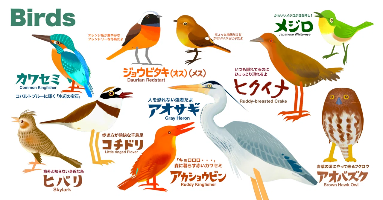 アバターにする鳥の種類を決める 鳥アバターを作る時どの鳥にするか、いくつか気にしていることがあります。 ⚫︎日本国内の自然の中で見られる鳥 ⚫︎自分で見たことがある(想像ができる)鳥 ⚫︎発表する時の季節 加えてもうひとつどうしてもはずせないポイントは「⚫︎歩いているか 」です。 例えばキツツキ類はアバターにしづらい鳥です。字の如く木の幹をつついて穴をあける鳥です。ユニークな形で好きな鳥なのですが地面に降りて歩いているところを見たことがありません。たいてい垂直な木の幹を移動しているのです。 同じくキバシリという鳥は自在に木の幹を上下に走り回ります。頭を下に向けて走ることもできます