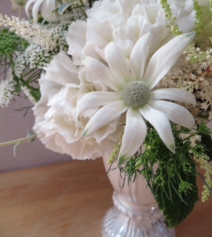 花材特徴まとめ フランネルフラワー 花と日々 Yas Note