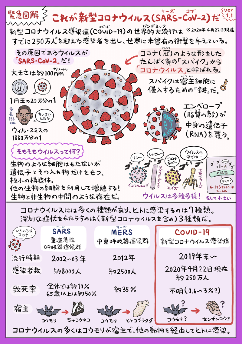 イラスト図解 これが新型コロナウイルスだ 4 28 Ver 1 1 更新 ぬまがさワタリ Note