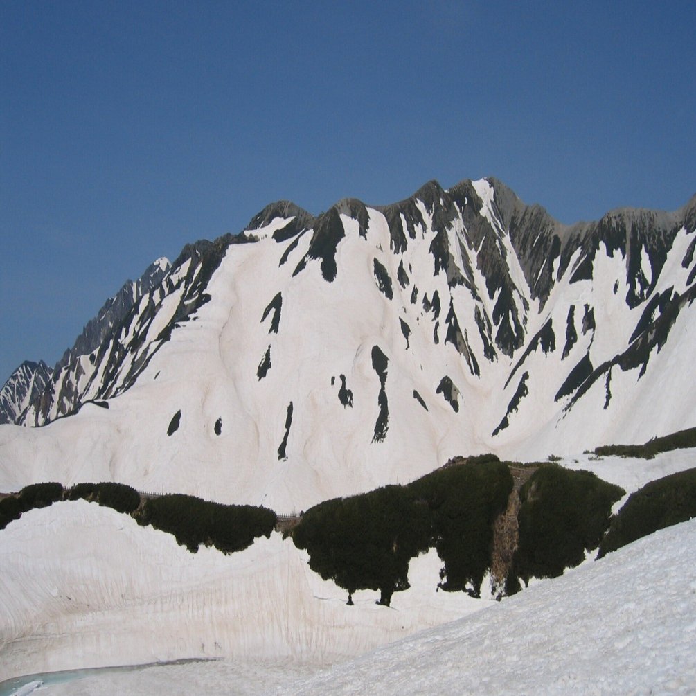 映画]『バグジー』｜Josef K., image size:1920x1005