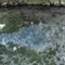 レオちゃん議事録36(reoch)👁️‍🗨️⛩️⚗️🛸