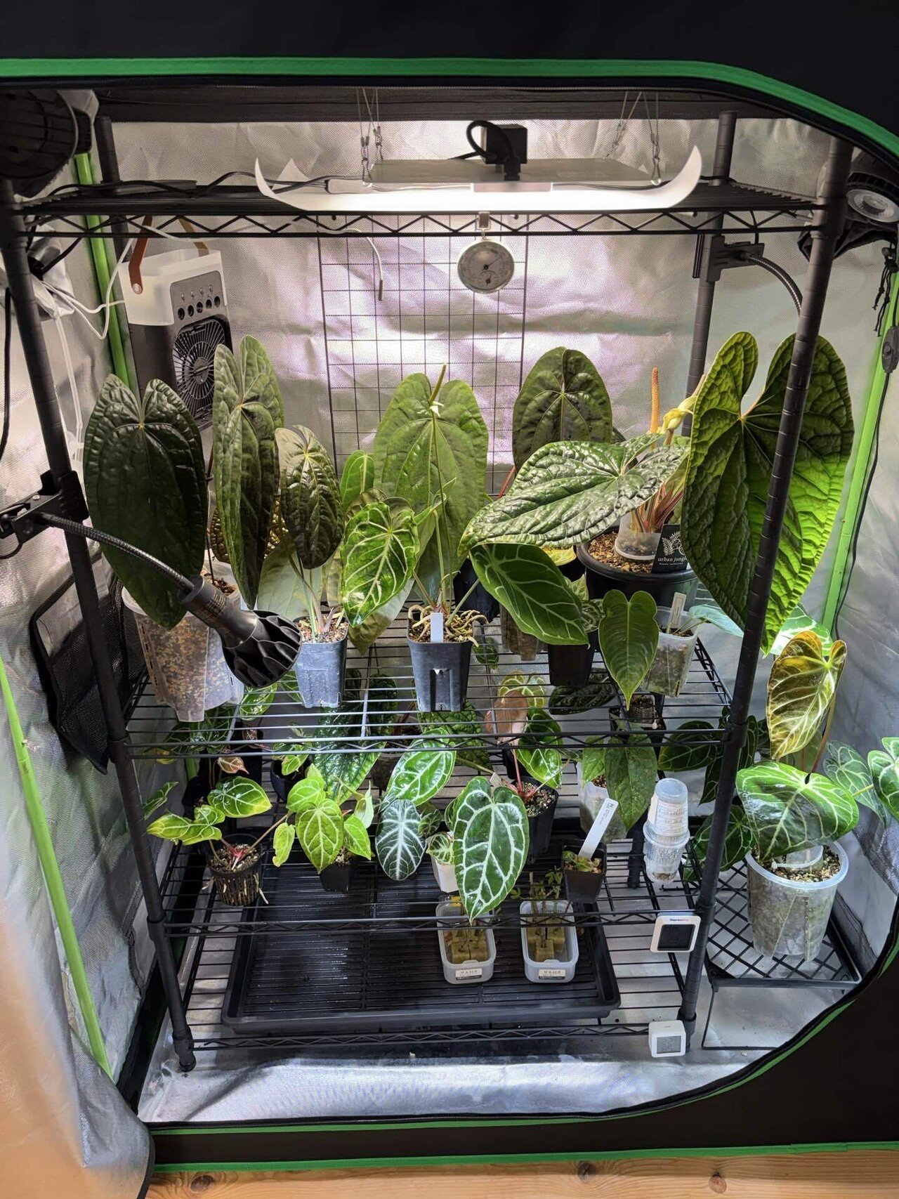 グローテント始めました2025年冬｜ういちろう