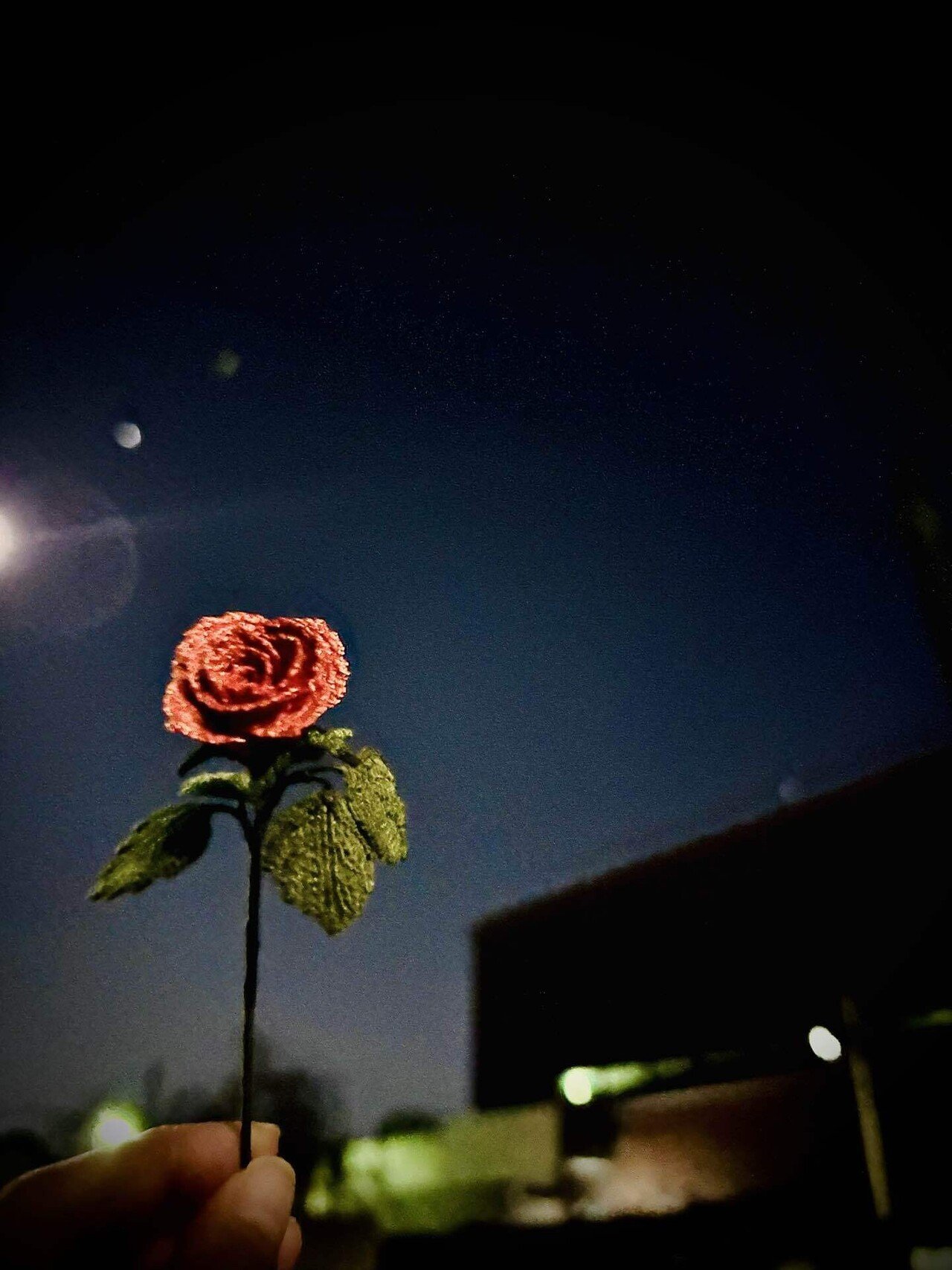 夜空に浮かべた一輪の編み薔薇｜q_k_b / q.crochet