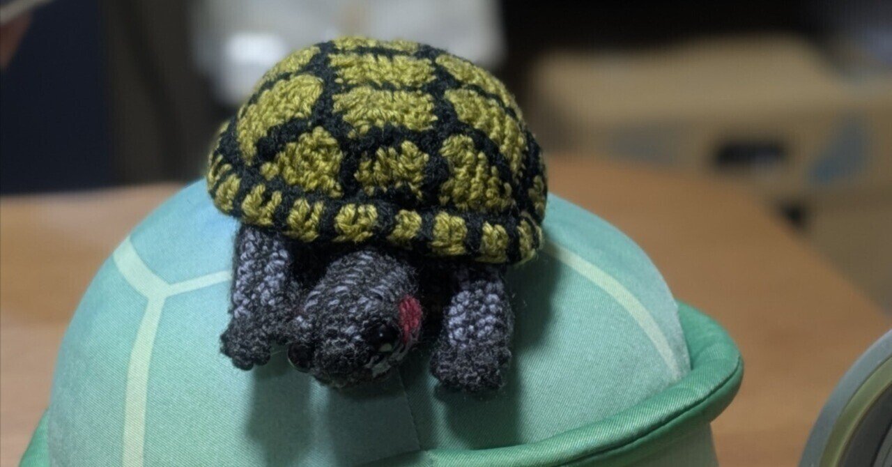 亀の近況2026.1.4｜呉樹直己