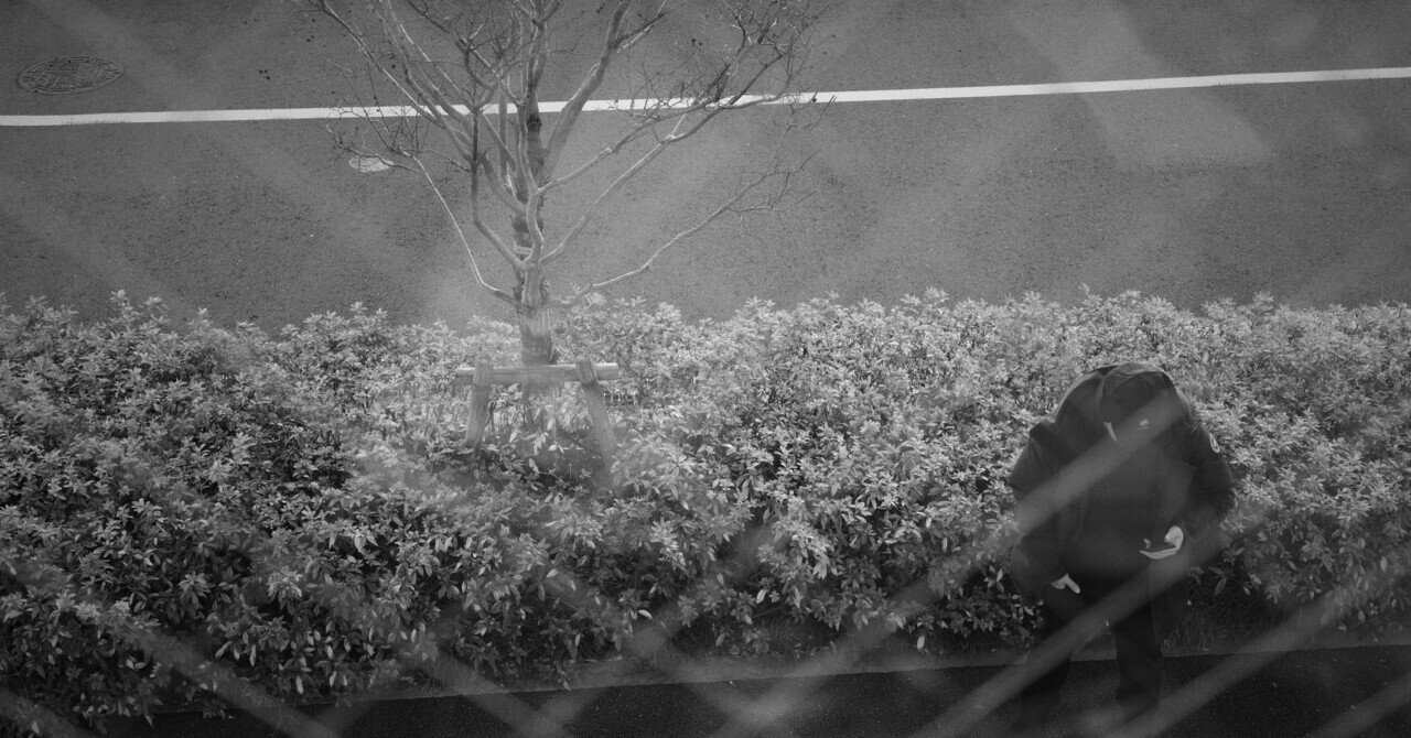 Life with GR3x /103｜Napa