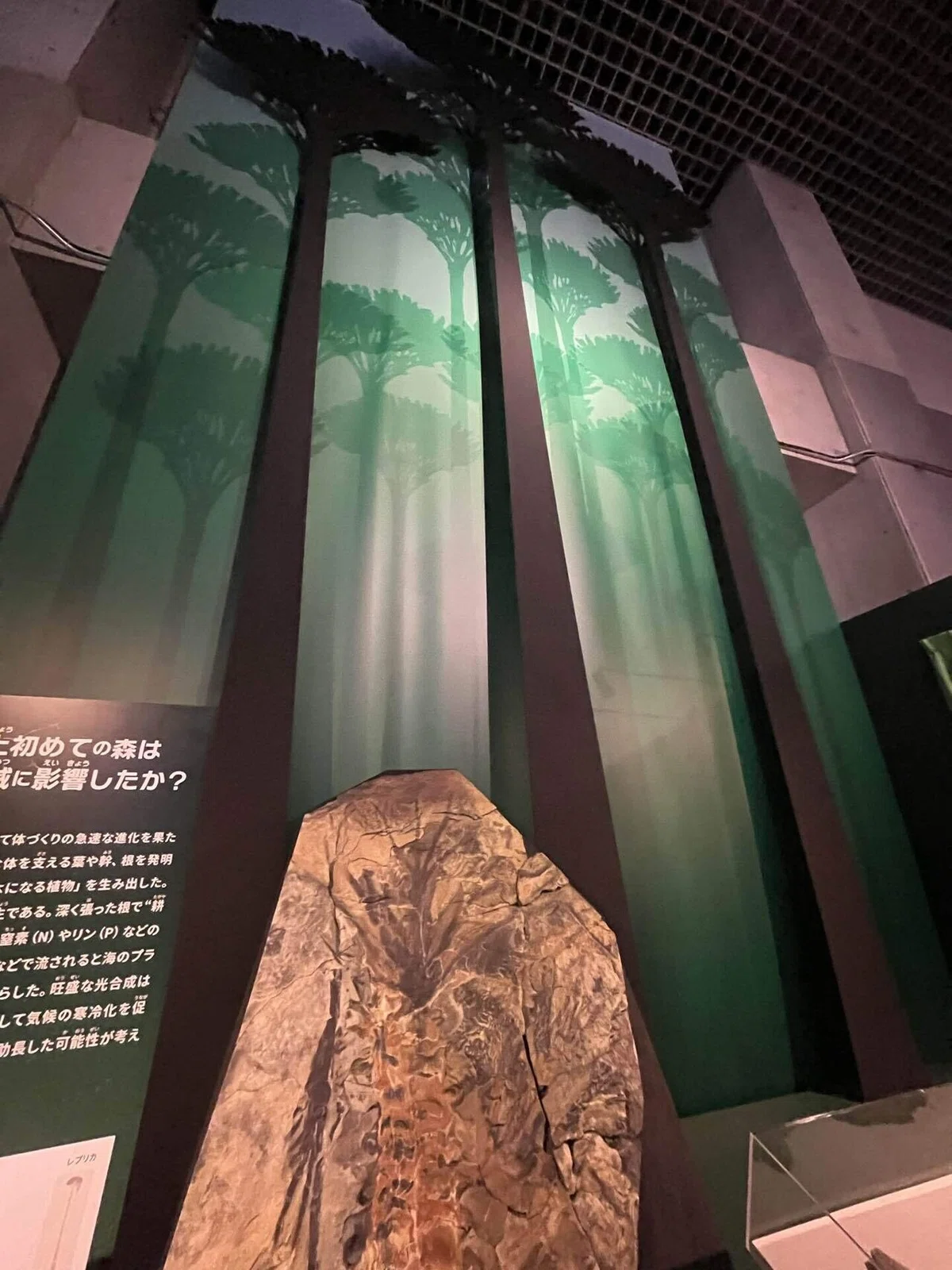 Turning Researcher Passion into an Exhibition: The National Museum of ...