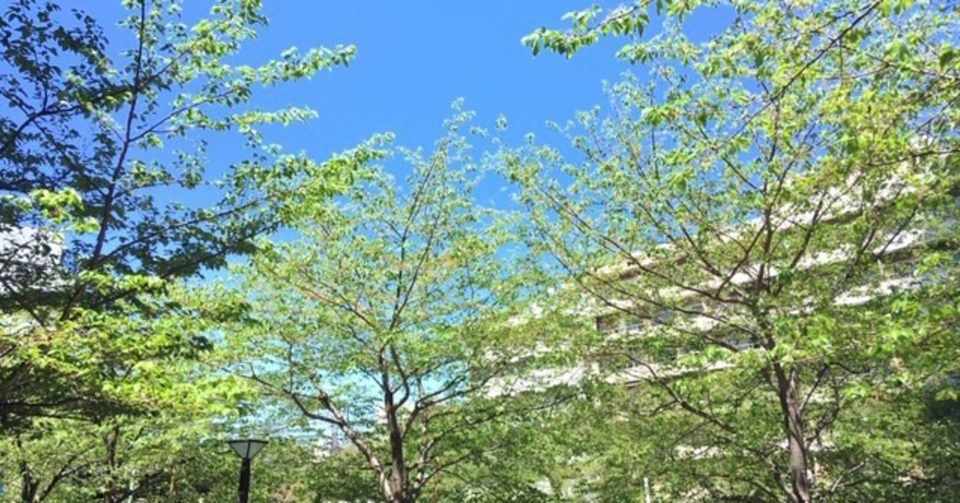 ソムリエ試験に独学で挑むあなたへ しばにゃん ソムリエ Note