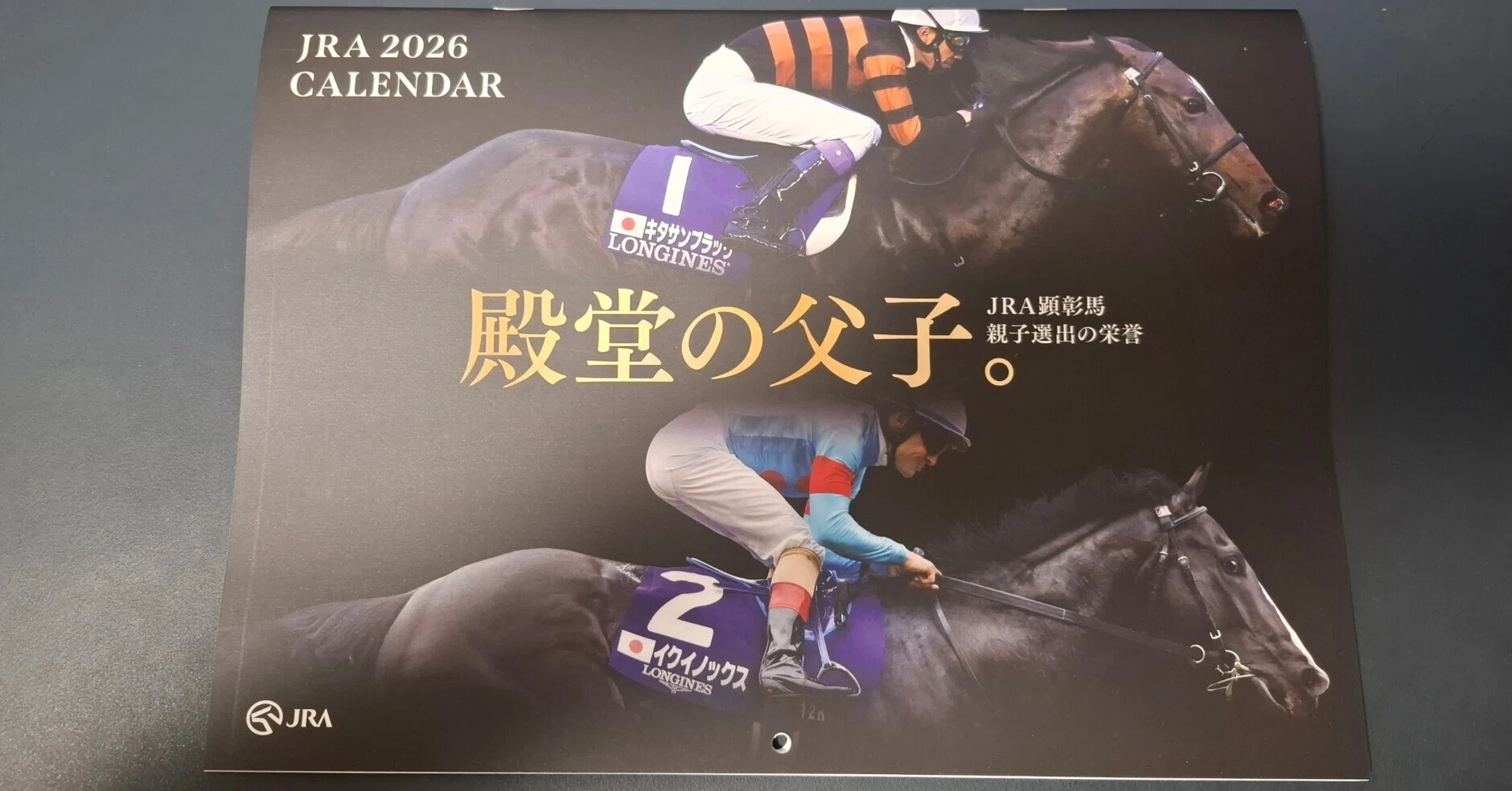 趣味：スポーツ観戦」としての競馬観戦の魅力｜升本