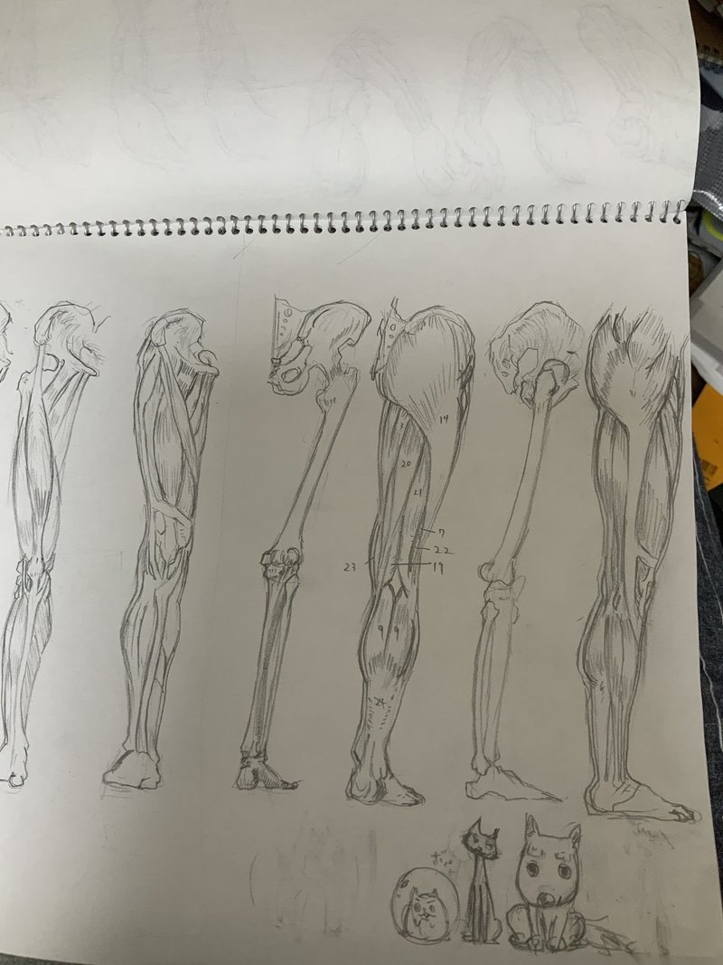 下手だった絵を載せながら 約10年かけてイラストレーターになったはなしをします 喜田 なつみ 旧 Kinatsumi Note