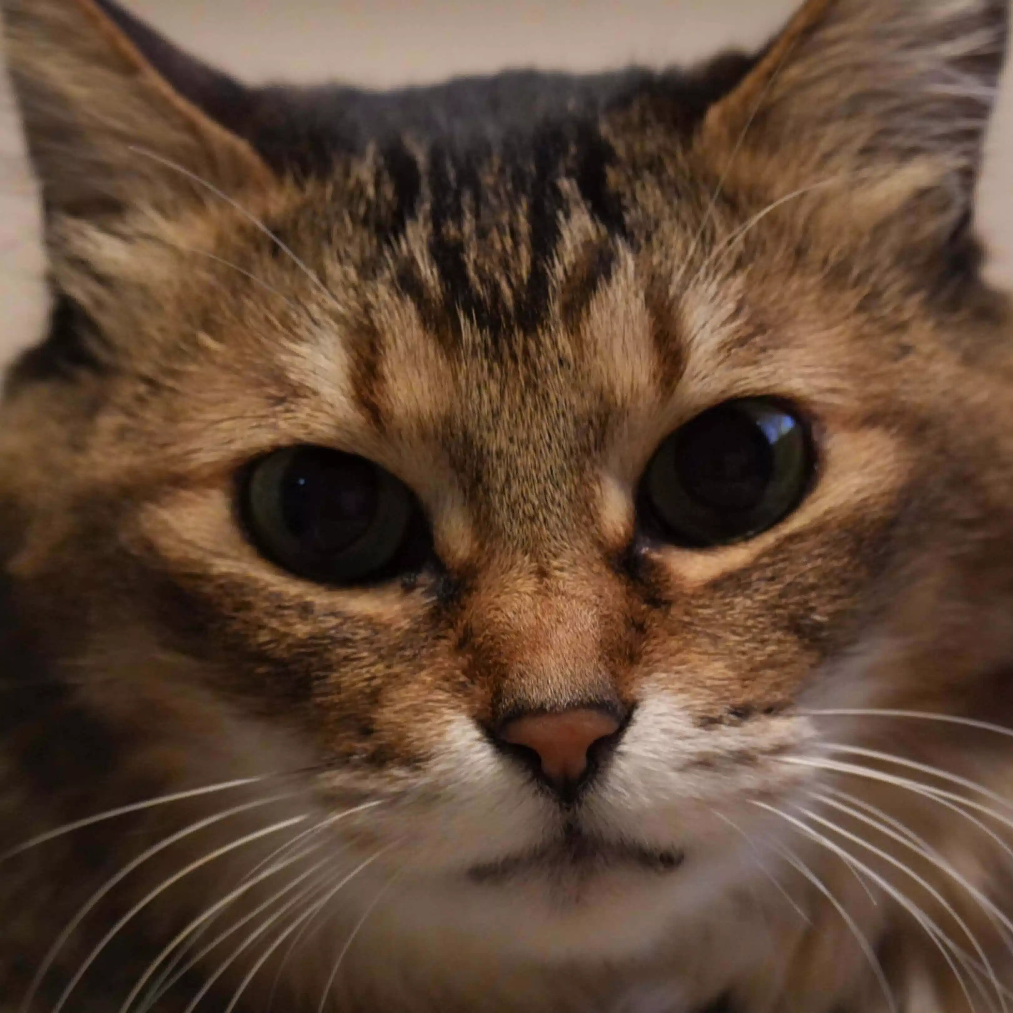 Sam