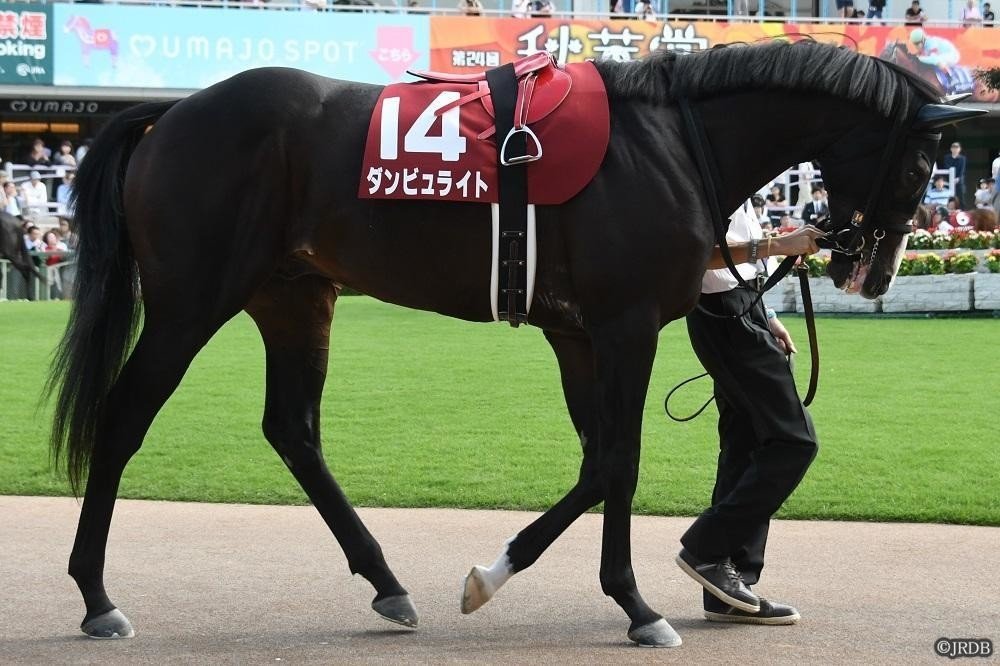 天皇賞(春)出走予定馬参考レース|JRDB 競馬アラカルト 天皇賞(春)出走予定馬参考レース|JRDB 競馬アラカルト