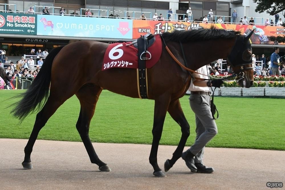 天皇賞(春)出走予定馬参考レース|JRDB 競馬アラカルト 天皇賞(春)出走予定馬参考レース|JRDB 競馬アラカルト