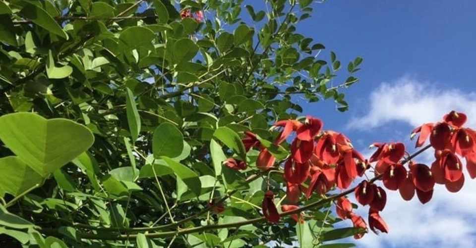 自分らしい働き方を模索した結果 働き方は 休み方 だし自立は健やかな 依存の仕方 でした 綾乃 Note