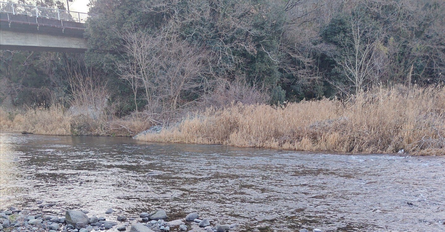 ソロキャンプNo.2～角田大橋河川敷(野営地)｜繭婆