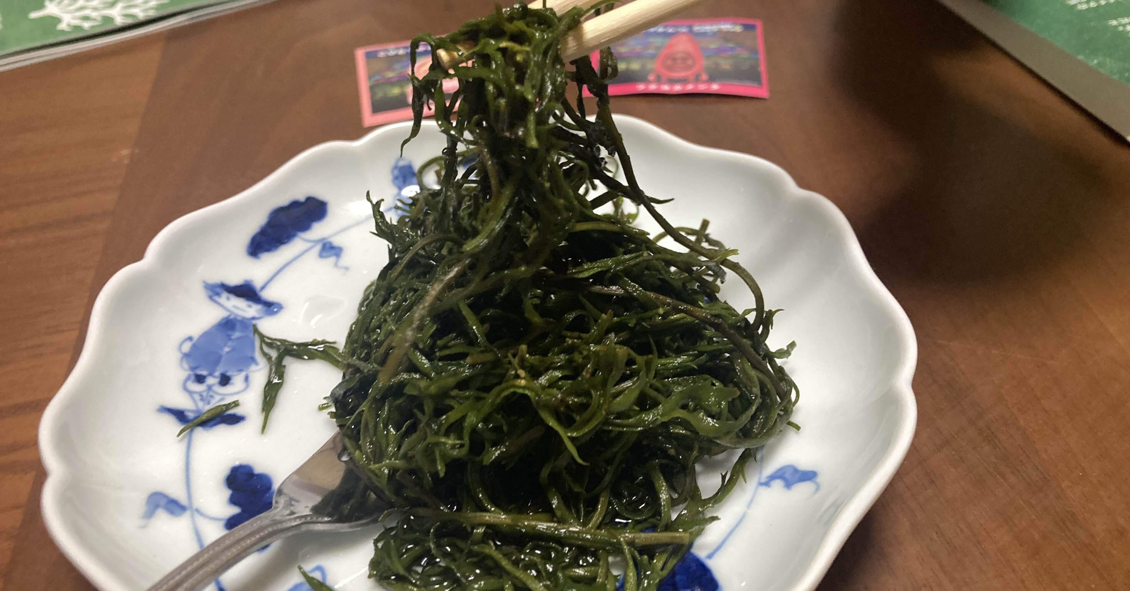 毎日更新】海藻ZINEのペルソナ・20代後半女性に海藻のイメージを聞いて