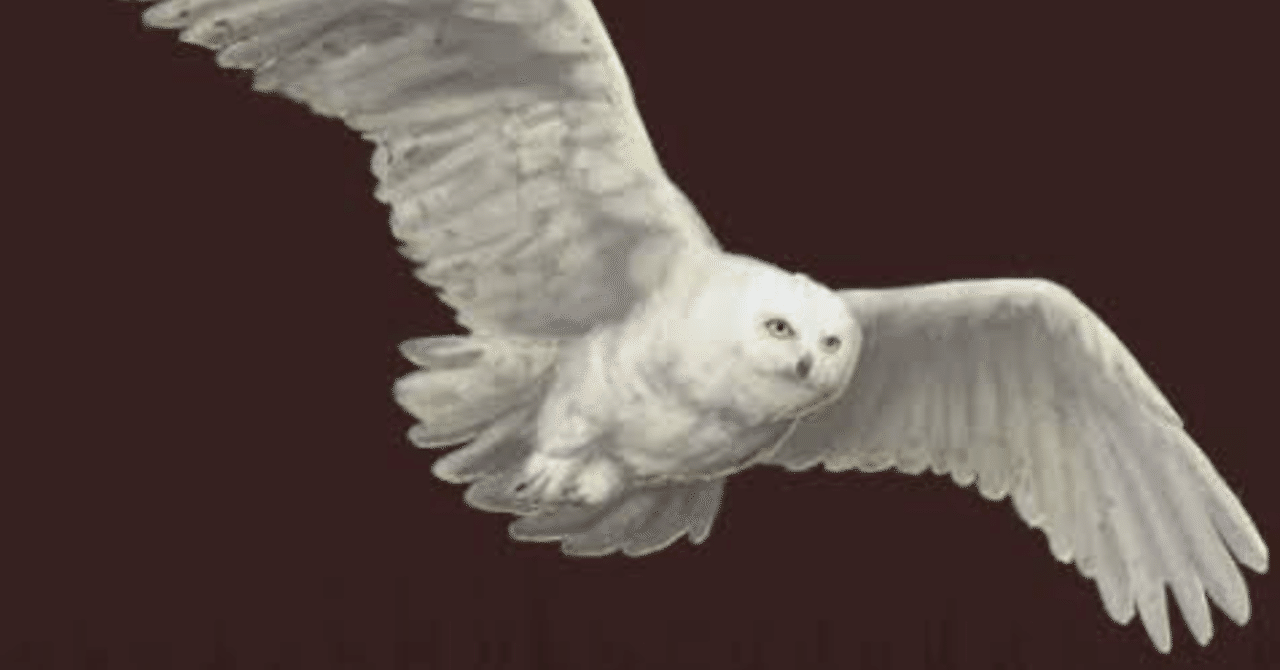 オブリビエイト 緑のニット Note オブリビエイト 緑のニット Note