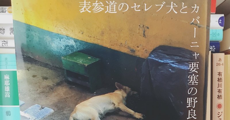 おもしろい作品 と おもしろくて感想 を書きたい作品 若林正恭 表参道のセレブ犬とカバーニャ要塞の野良犬 読んだ 年4月27日 ななし Note