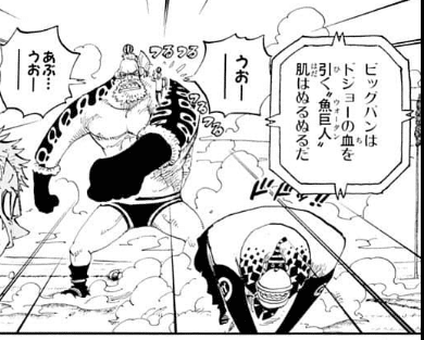 One Piece 魚人と巨人にまつわる考察 Cahier Note One Piece 魚人と巨人にまつわる考察 Cahier Note