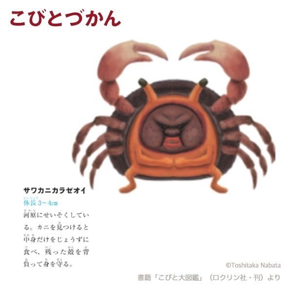 １日１コビト紹介 サワカニカラゼオイ こびとづかん公式note Note