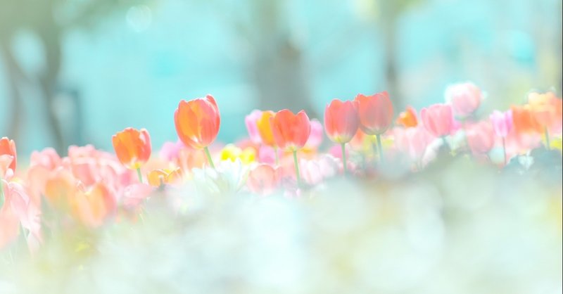 私のテクニックが丸裸に W レタッチ画面惜しみなく大公開 後編 ソナチネ詩音 公式 コトグラフ作家 Note