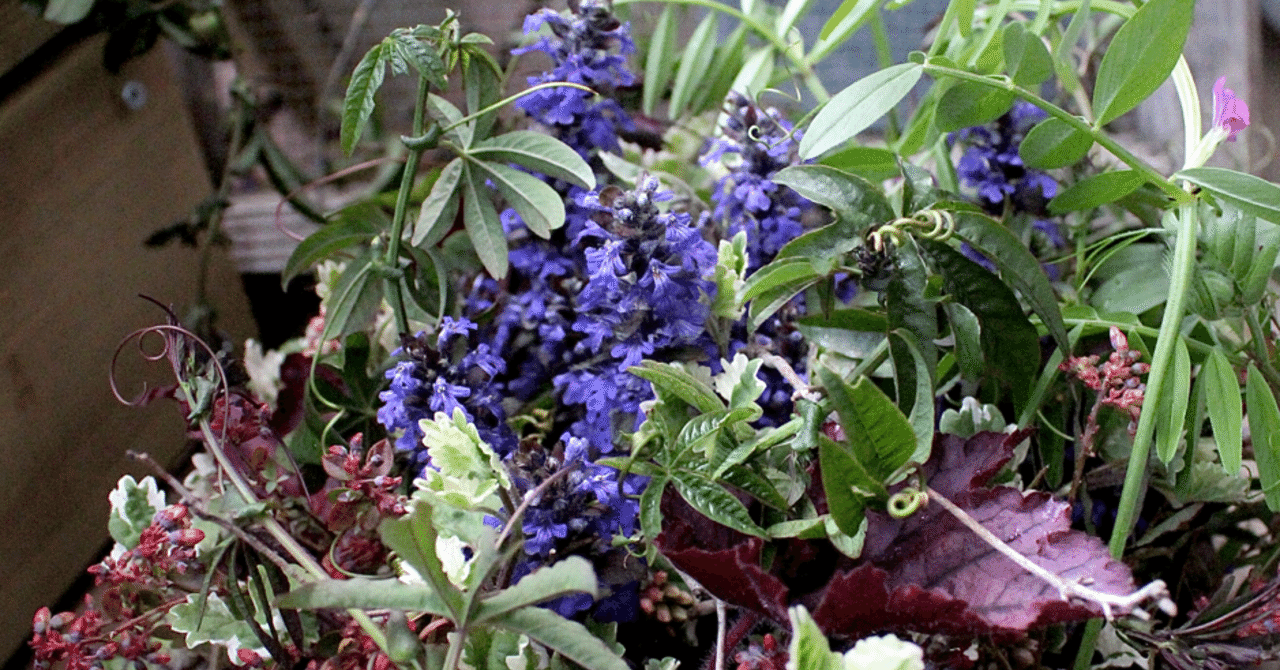 お庭仕事と遊びのハーフ ハーフで 楽 をする 瀬沼泉の花思草labo Note お庭仕事と遊びのハーフ ハーフで 楽 をする 瀬沼泉の花思草labo Note