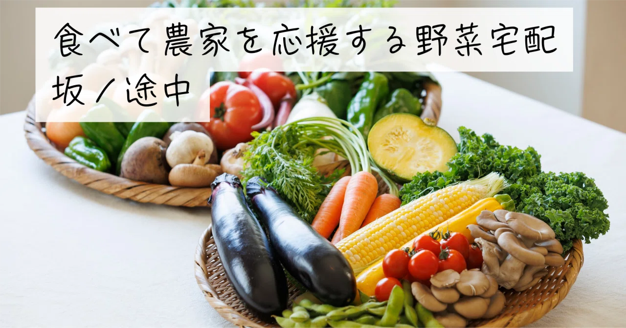 サブスク徹底解説】「坂ノ途中」の野菜宅配は農薬・化学肥料不使用 