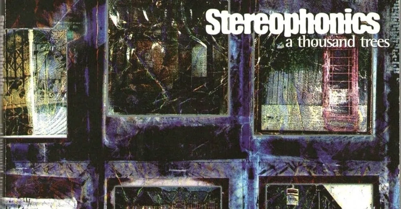 Stereophonics/A Thousand Trees｜キジトラ