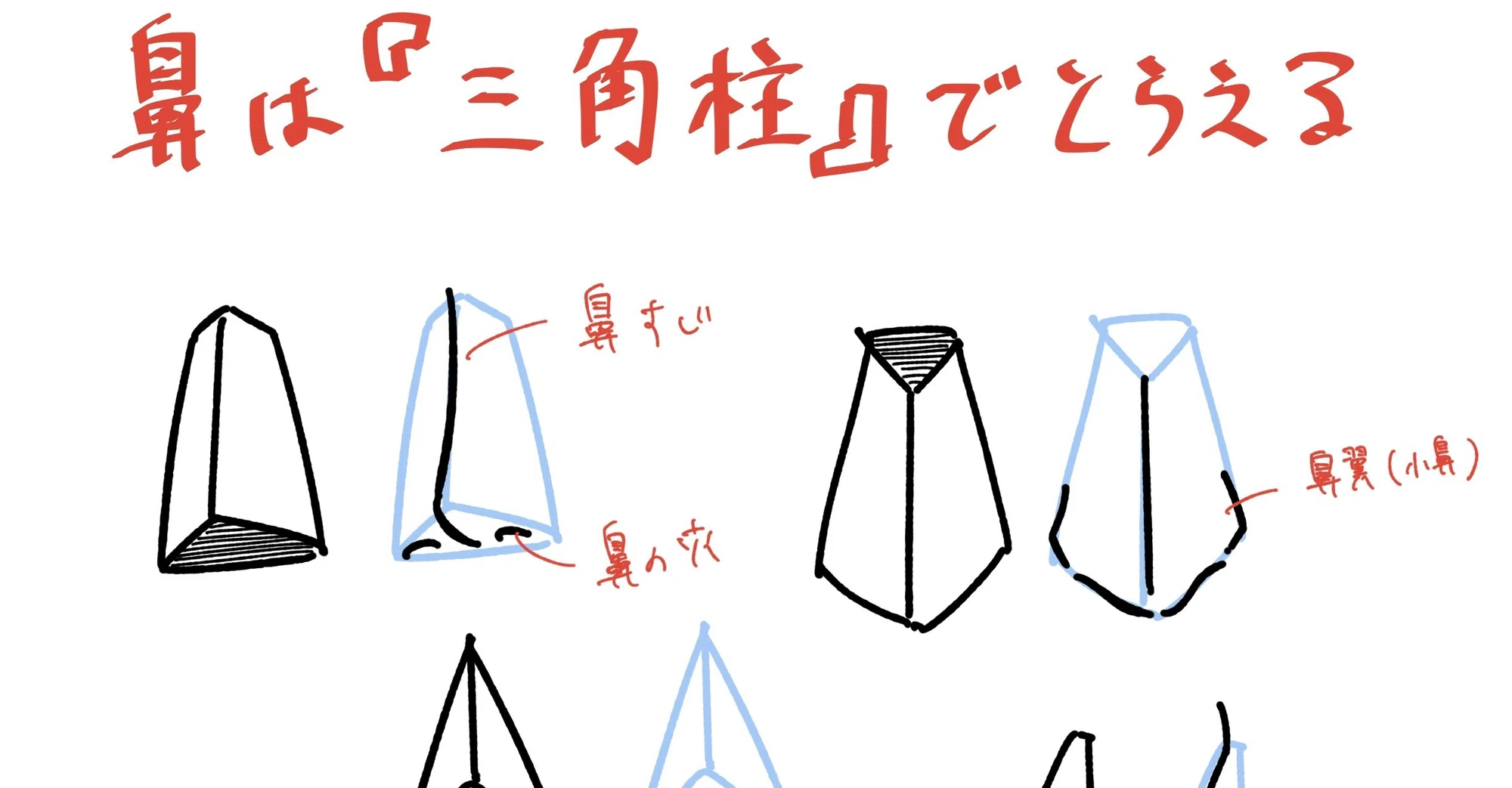 人体の作画 鼻の描き方 Jo Note 人体の作画 鼻の描き方 Jo Note