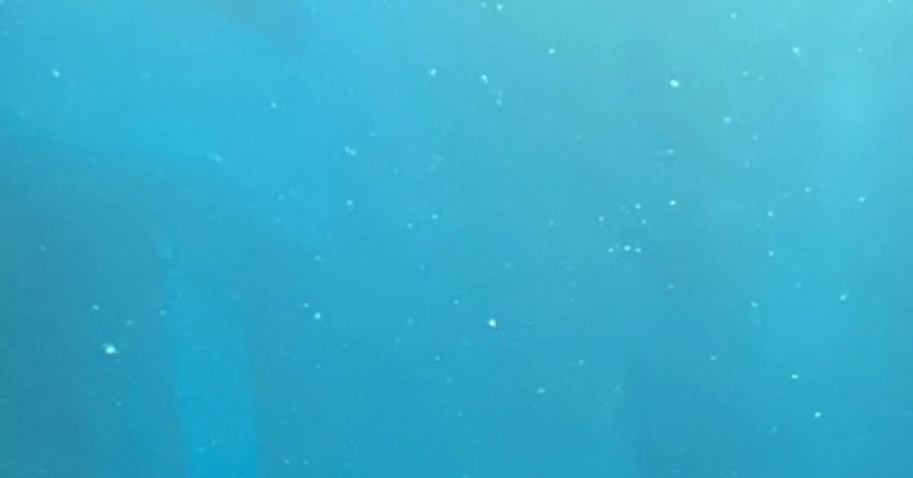 A Frog in the Ocean, Surfing｜かぜ はるか