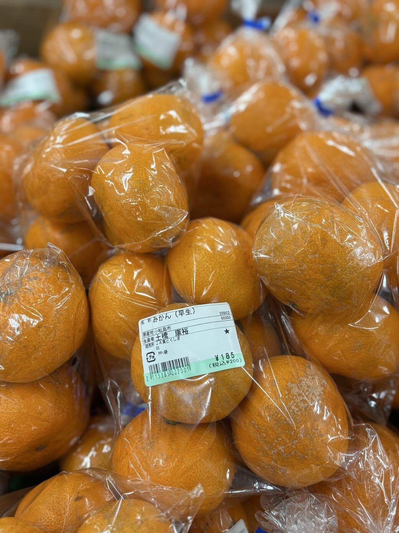 徳島旅】津乃峰神社とおばあちゃんの家｜yuriko | 北陸で暮らすということ