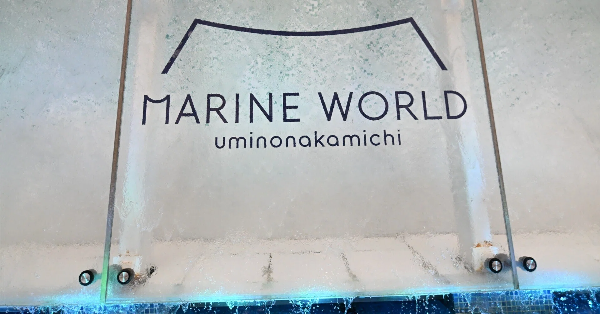 20260102_マリンワールド海の中道【Nikon Z50IIと水族館】｜山ネズミ