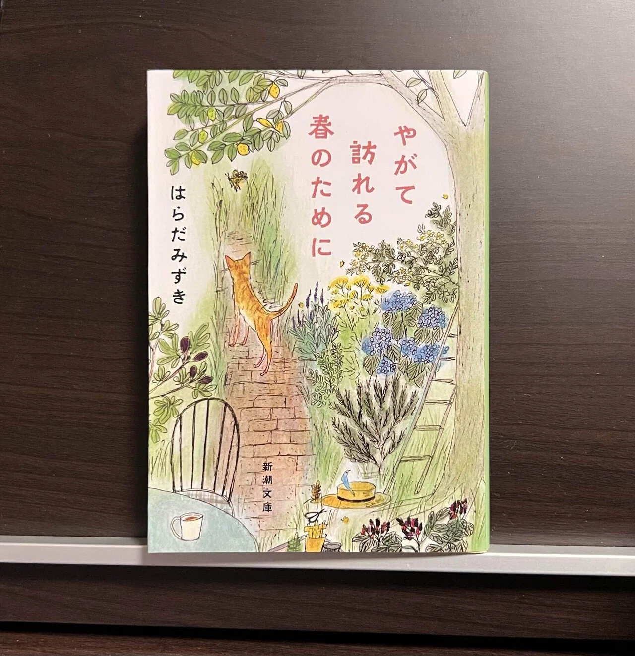 いわた書店『一万円選書』｜ありさ