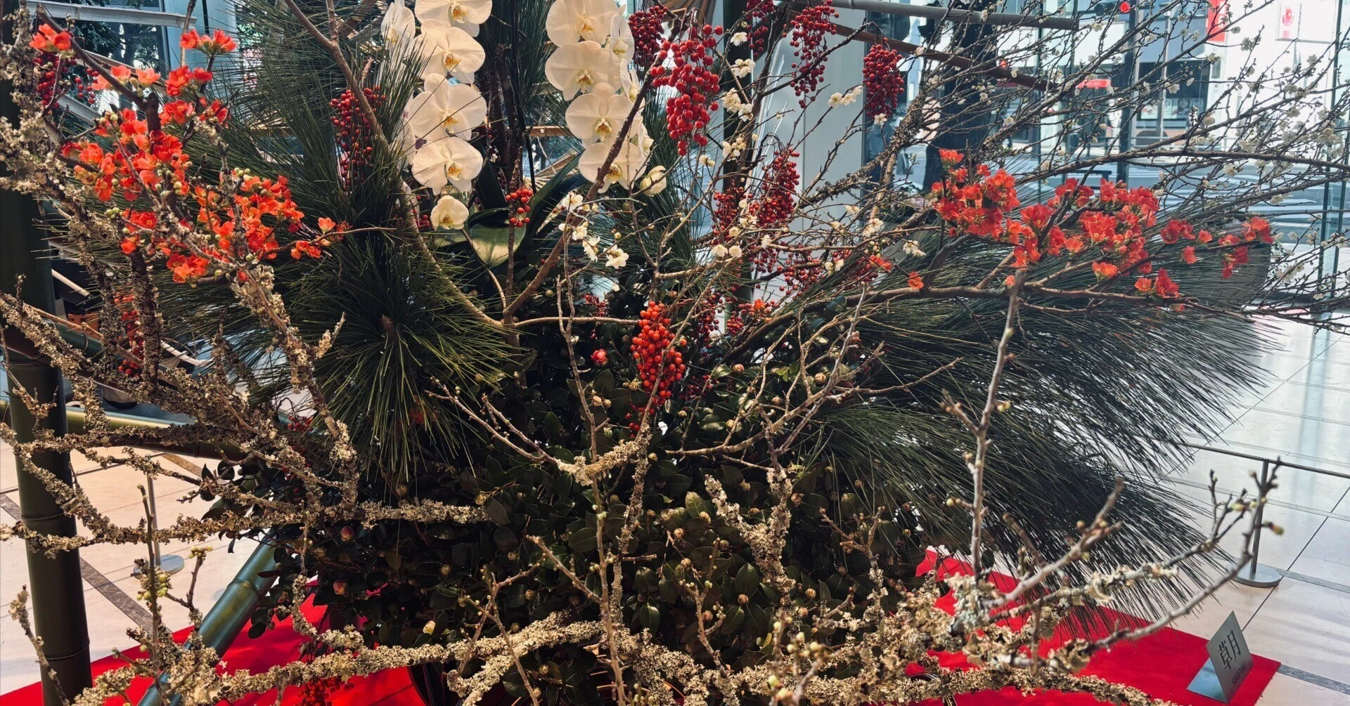 買って良かったもの-2026年1月1週目｜高河ゆん