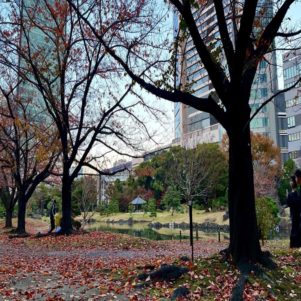 📷 [Photo Log] 旧芝離宮恩賜庭園〜東京タワー | 2025-11-24｜Phonora