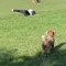 ぞうさんとぞう