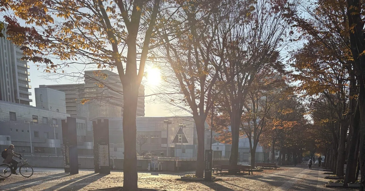 ゆづきち 筑波大学 推薦入試 2019 2021 2023 2025 2025年度版】筑波大学前期入試 合格発表速報を行いました！ | つくいえ