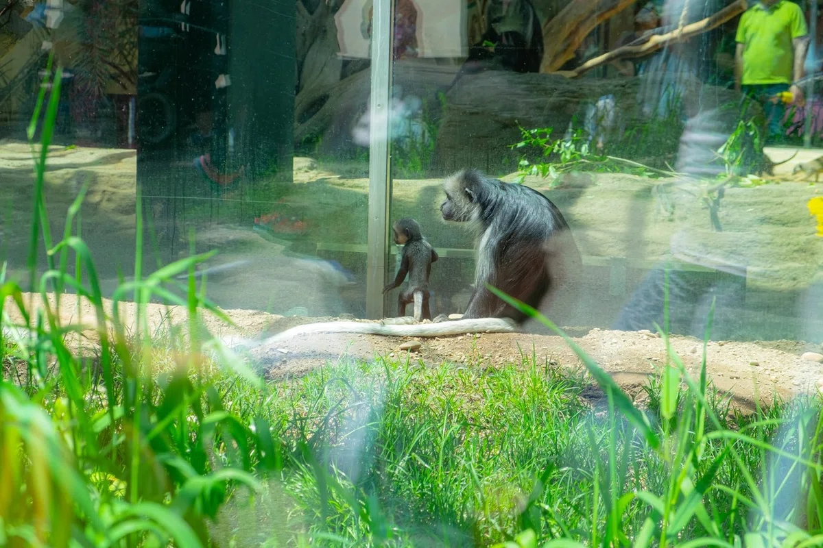 画像10