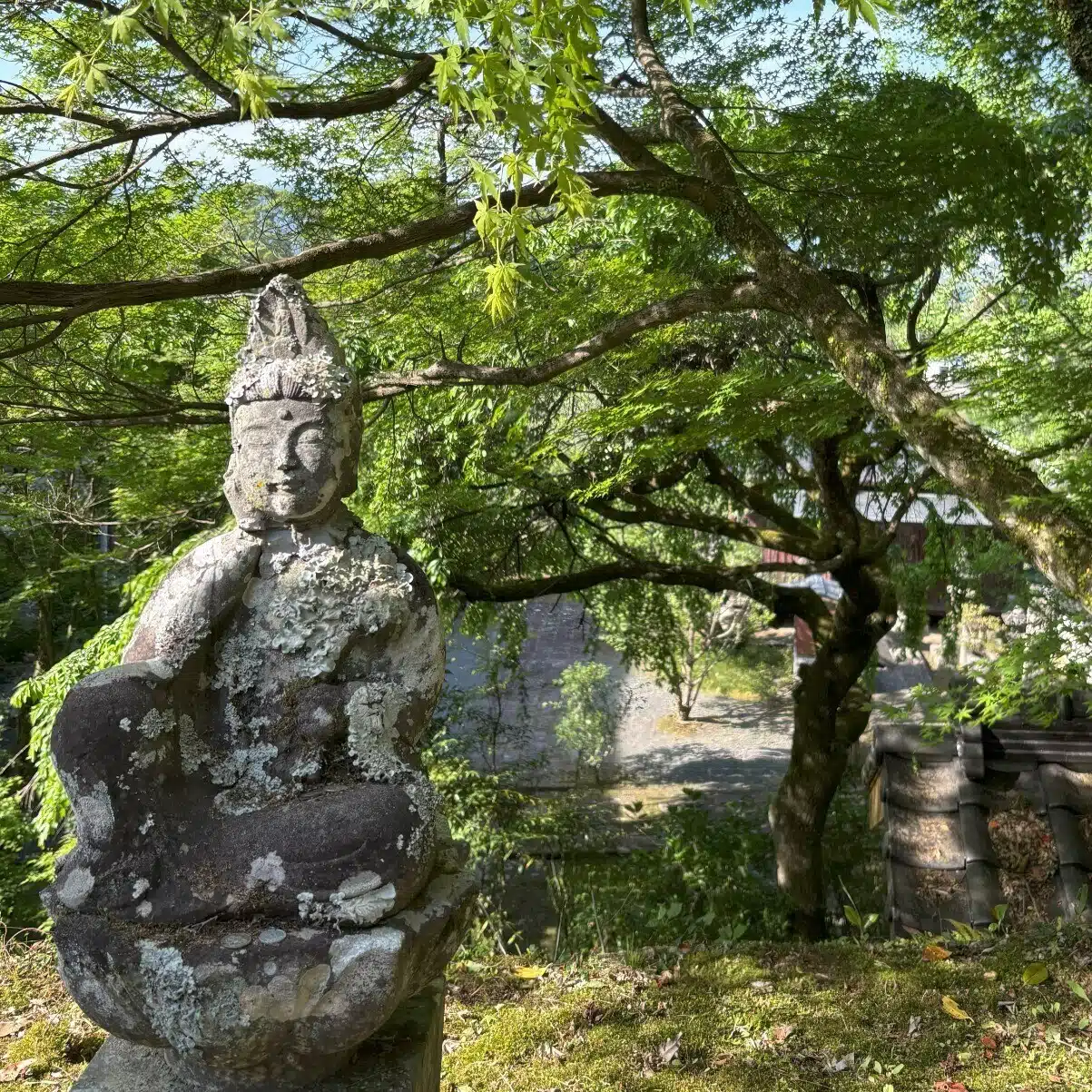 構造王と僕