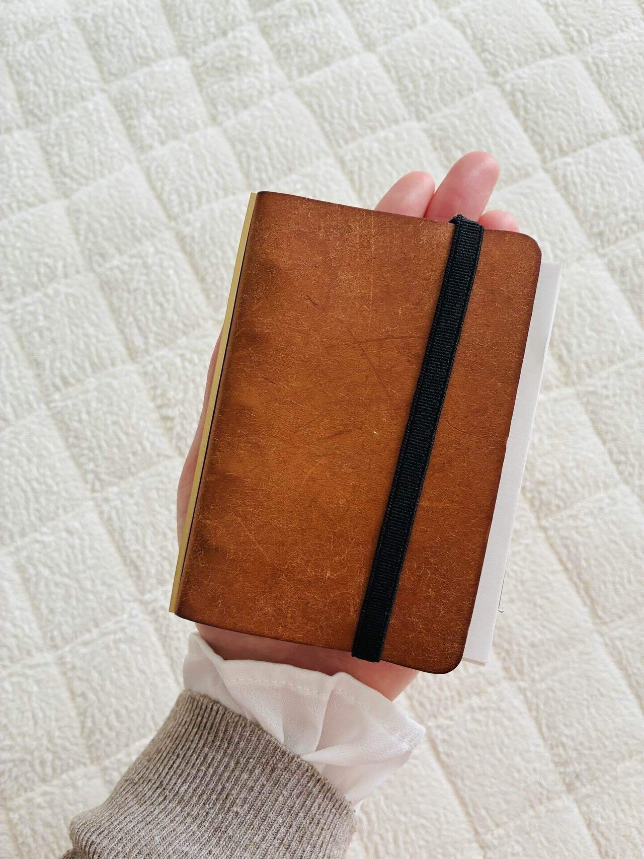 手帳の中身1】plotter（プロッター）／M5／プエブロ／ベージュ／わちゃ