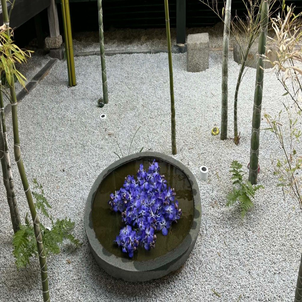 SBI証券iDeCoの商品見直しと、WEBでの変更手続き拡大中｜竹川美奈子