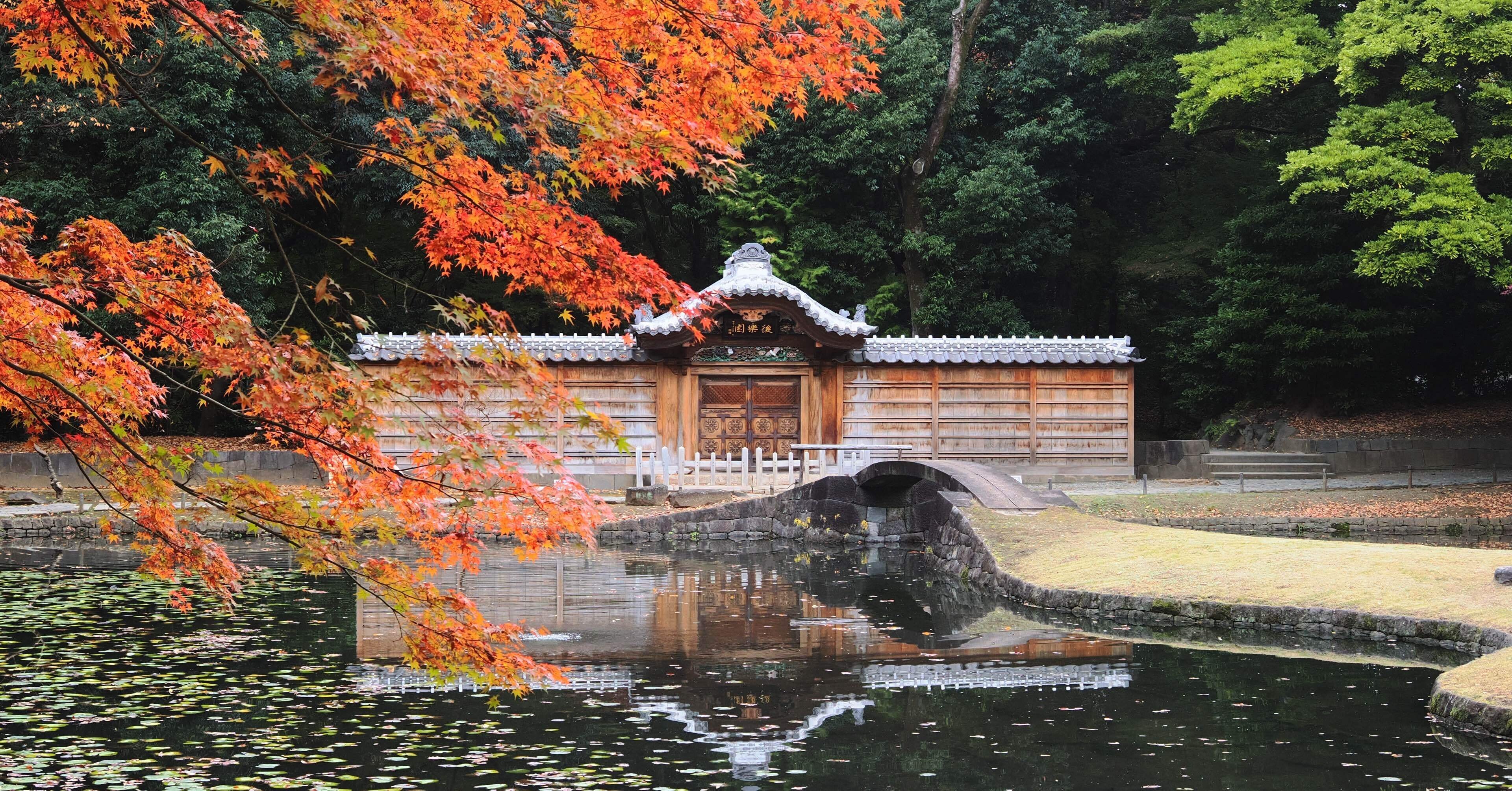 November 2025 小石川後楽園｜マサヤン。