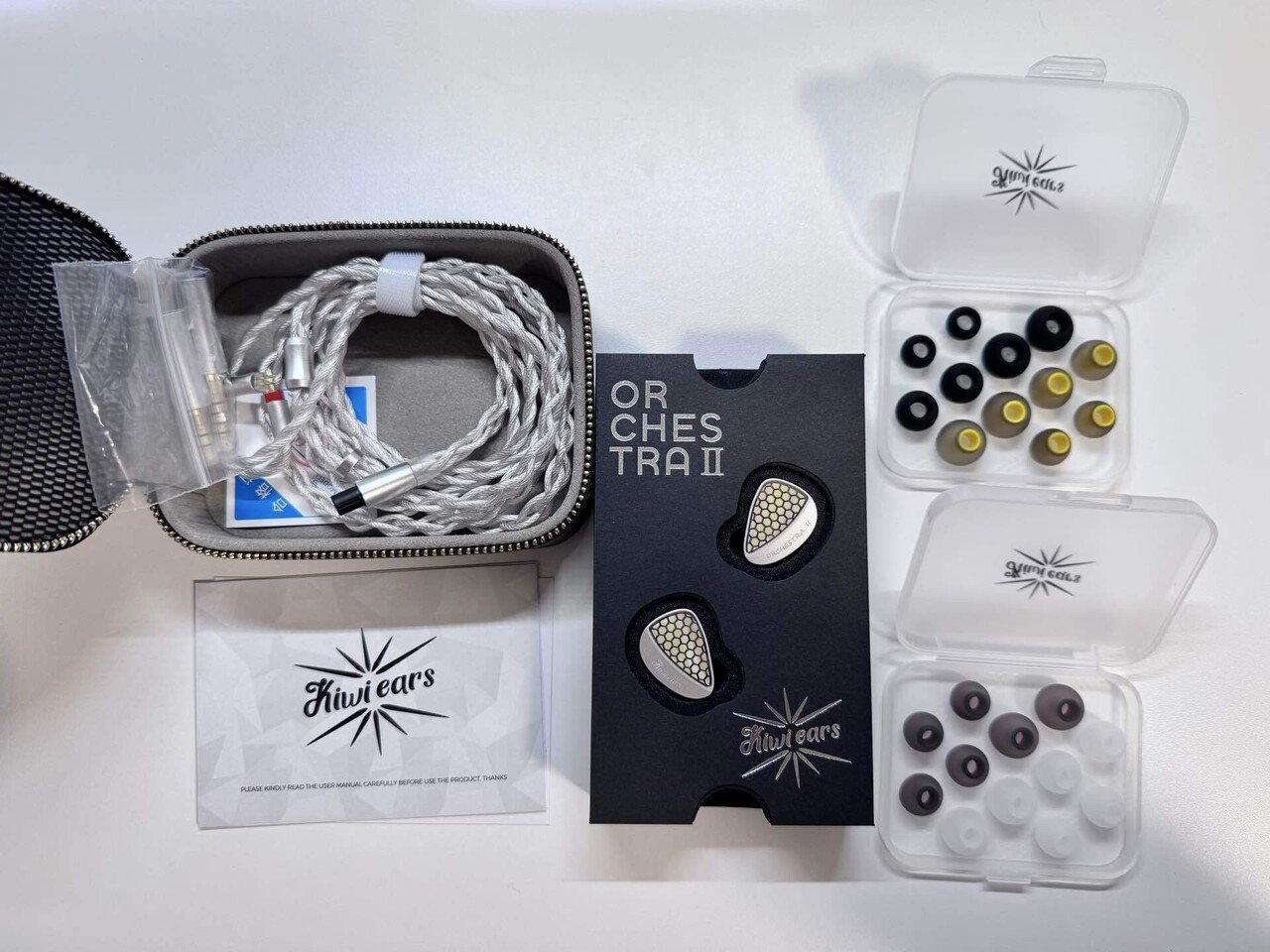 高級イヤホンは解像度がやばい？】真珠層のような見た目の有線イヤホン