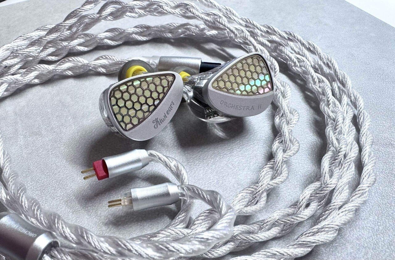 高級イヤホンは解像度がやばい？】真珠層のような見た目の有線イヤホン