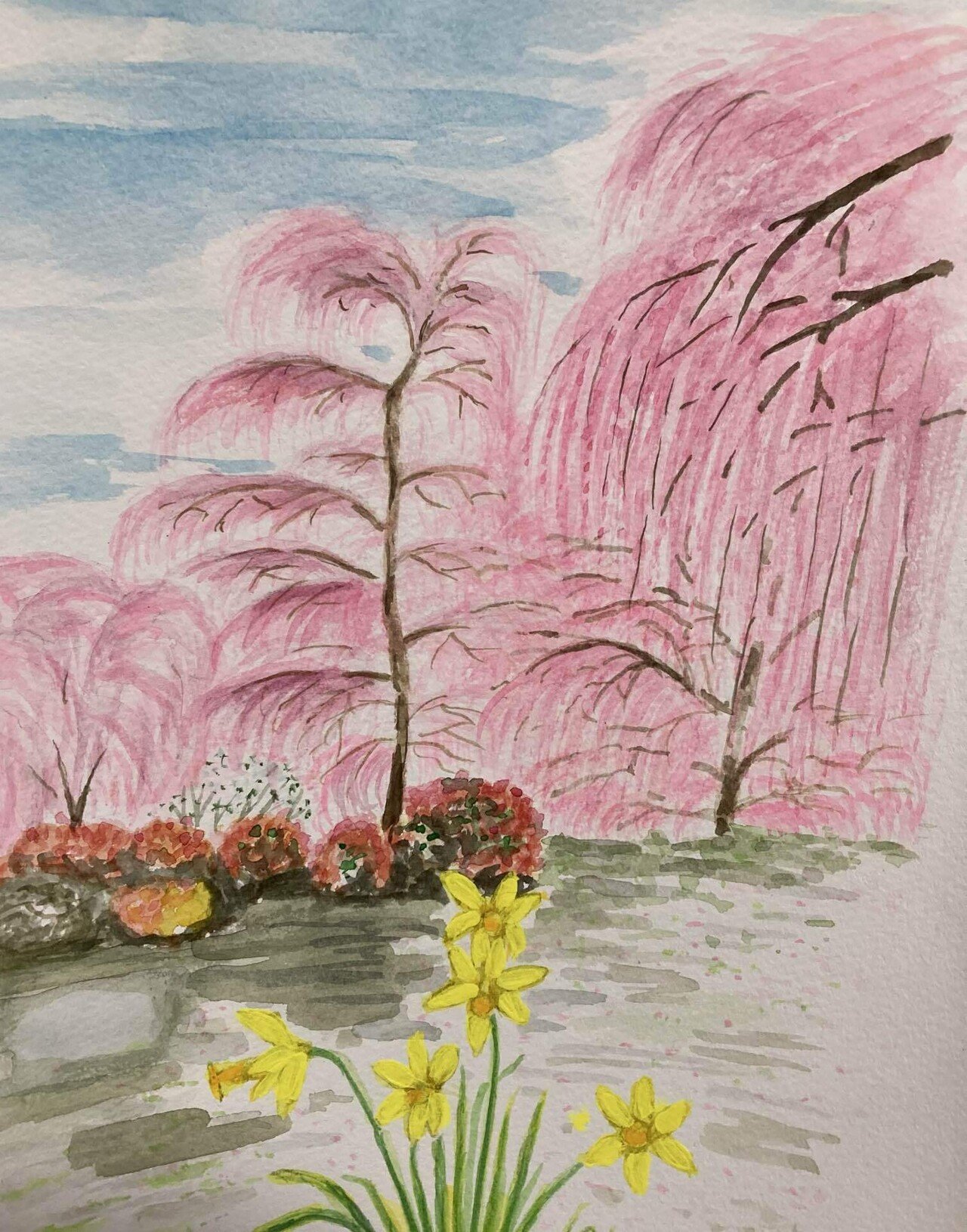 2025年3月17日三重県鈴鹿市森庭園のしだれ梅立派でした🧑‍🌾｜ふーさん