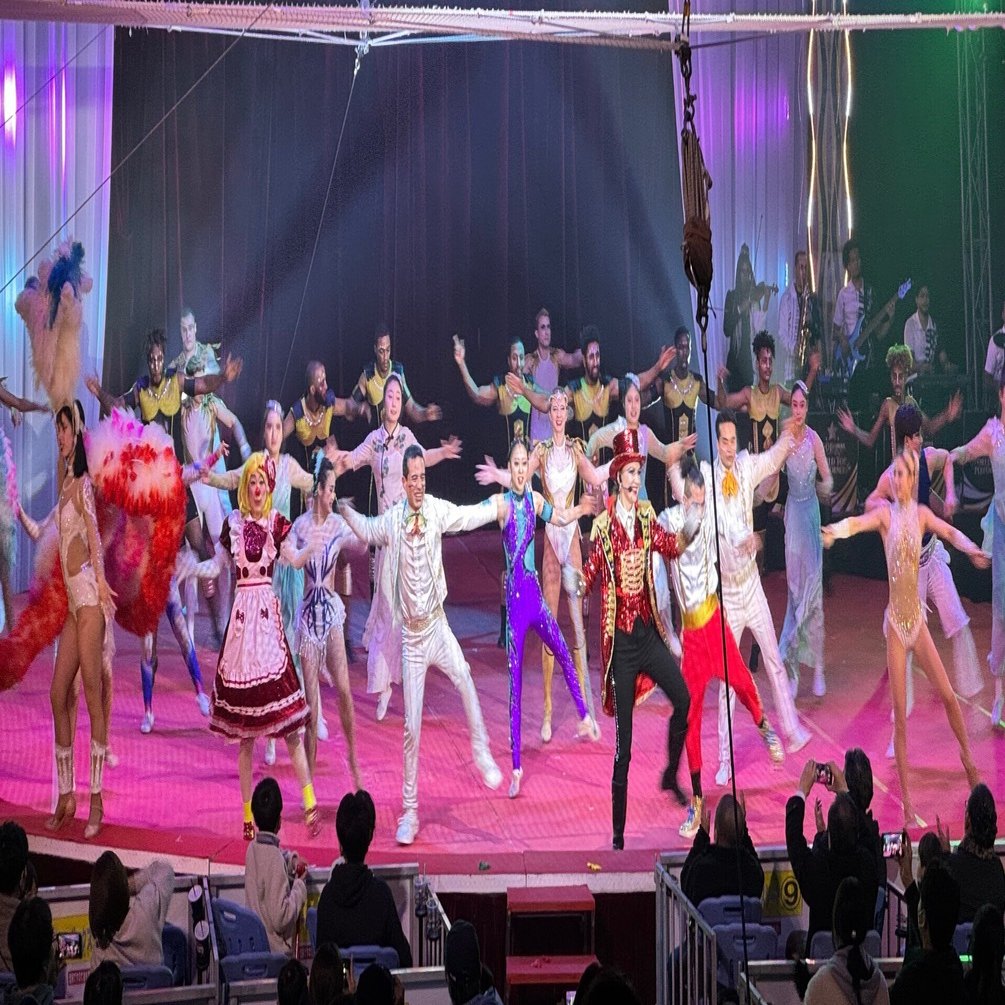 サーカス⭐︎野寄聖統｜野寄聖統・Noyori Masanori