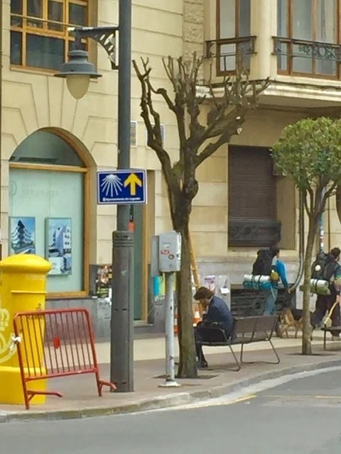 画像11