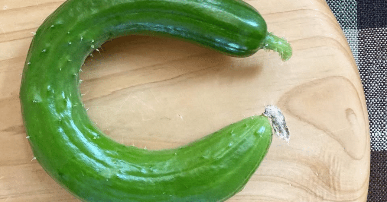 カード・フォト・ブロマイド IMBT Amazon.co.jp: MBTI キーホルダー 性格診断テスト マイヤーズ