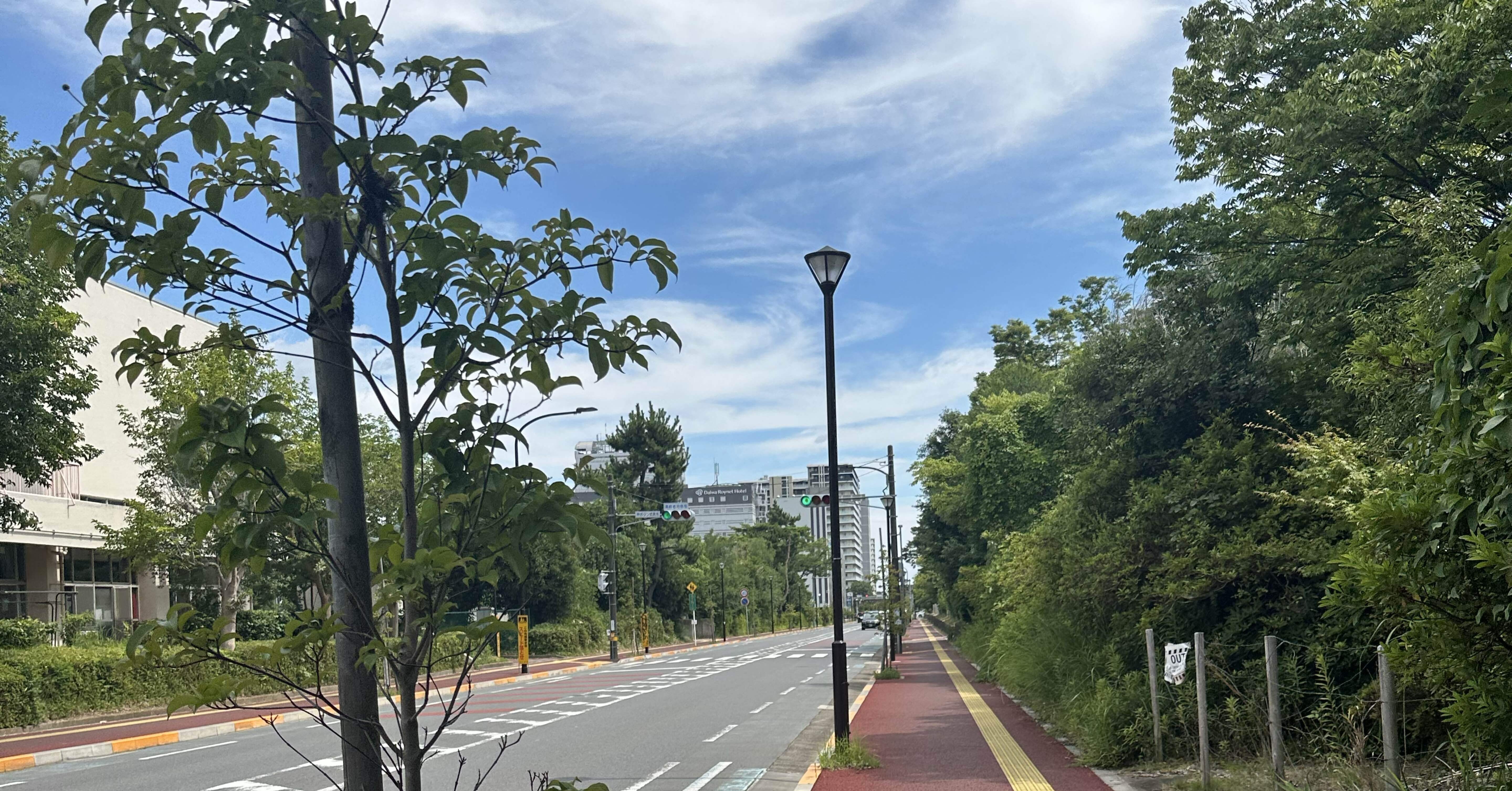 2026年度】筑波大学 情報学群 知識情報・図書館学類推薦入試レポート｜乾