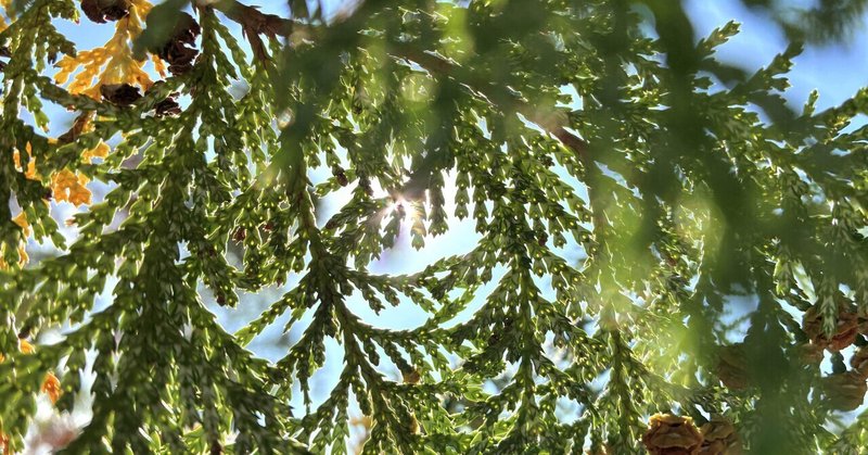 歳の差婚で一番向き合うことになったのは、年齢じゃなかった