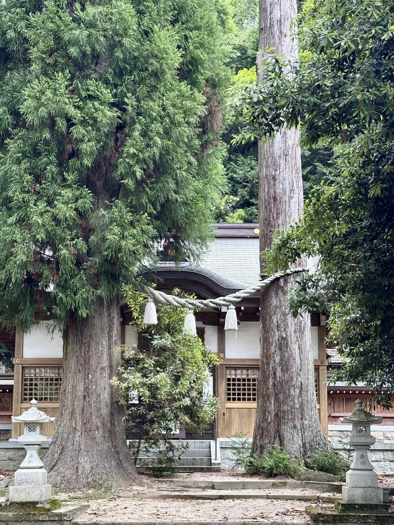 5257 天王神社 滋賀県甲賀市信楽町黄瀬｜日本中全ての神社に参拝しよう